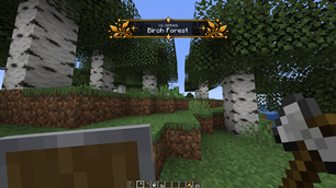 Birch Forest
