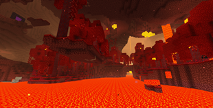 Nether