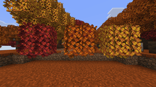 Poplar trees and leaves!