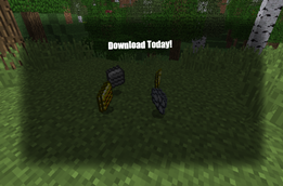 Download today!