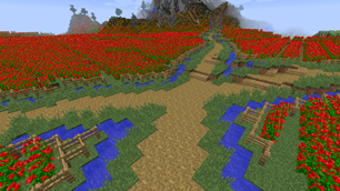  Flower Land