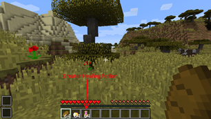 Slots and Potion