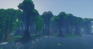 Rainforest Biome