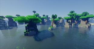 Rocky Reef Biome