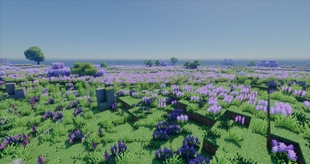 Rocky Meadow Biome