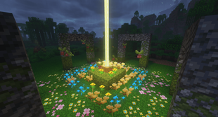 Beacon Bloom