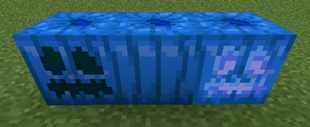 Screenshot 2026-09-16 171449.png