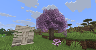 White Oak