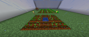 image-attachment_67132775-b508-4193-8b38-dd1a15218119.png