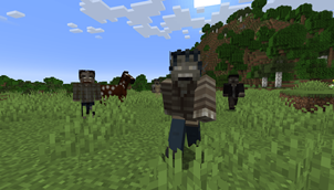 chase (TZP resource pack).png