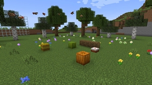 06_meadow.jpg
