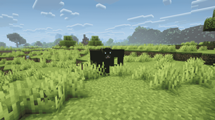 Angus