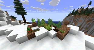 Substance Crops