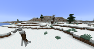 Snowy Varients