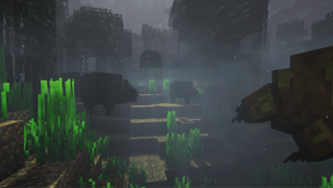 Underwater.png