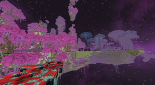 Better End Forge 4 (i forget the biome name)