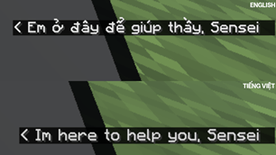 custom subtitle