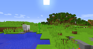 Plains