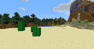 Desert