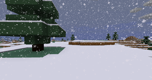 Snowy plains