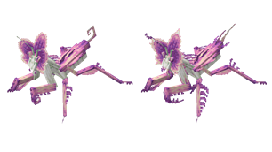 Queen of Orchid