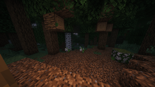 forest in the night
