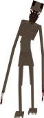 what you get when you download
