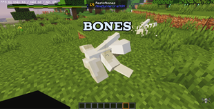 Bones.png
