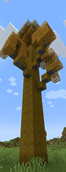Argentua tree