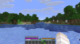 Canna Poisoned.png