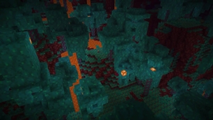 Warped Forest