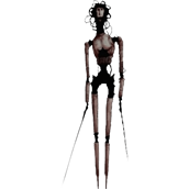 locust