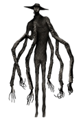 the doctor