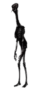 spineman