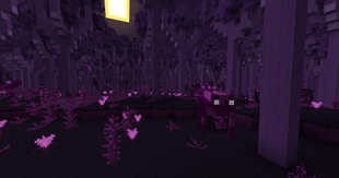 2026-09-18_09.40.42.png