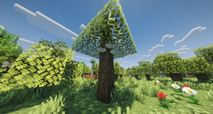 fruit-tree.webp