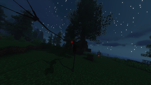 image.webp