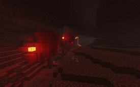 2026-09-18_12.29.55_compressed.jpg
