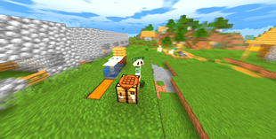 Motion Blur