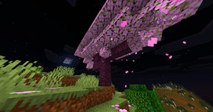 Fullbright Image