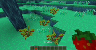 Strawberries in the World of Dreams.png