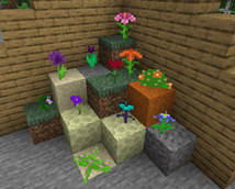 Showcase2-0.1.0