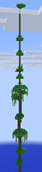 While trying to renamed the jungle sapling the jungle biome glitched onto 4 grass blocks (this is the entire biome)