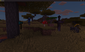 Showcase Items