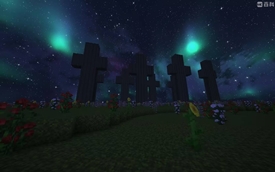 13-cross-forest.jpeg