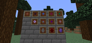 Special Items