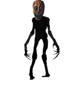 the entity