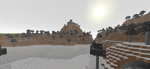 Ghost Forest