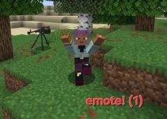 17.jpg