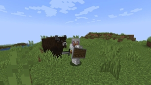 bison.jpg